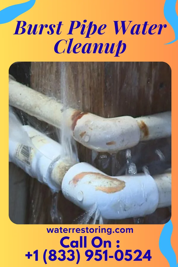 Burst Pipe Water Cleanup in Ridgefield, NJ