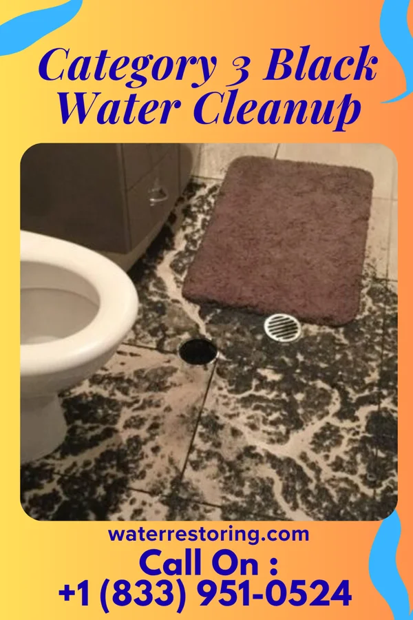 Category 3 Black Water Cleanup in Ridgefield, NJ