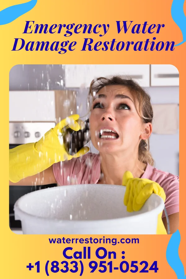 Emergency Water Damage Restoration in Ridgefield, NJ