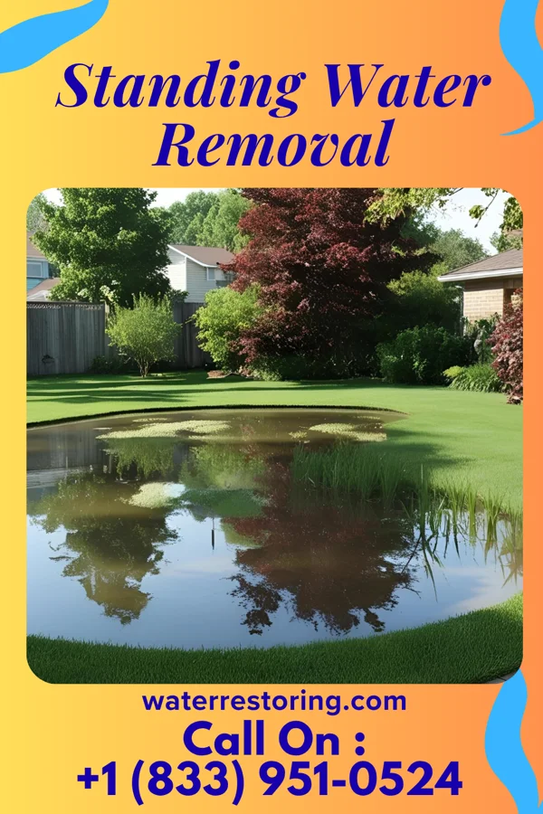 Standing Water Removal in Ridgefield, NJ